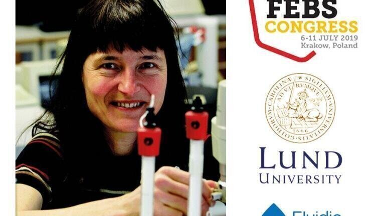 New Data on Protein Interactions in Alzheimer's Disease Using the Fluidity One-W Presentation by Professor Sara Linse at FEBS 2019